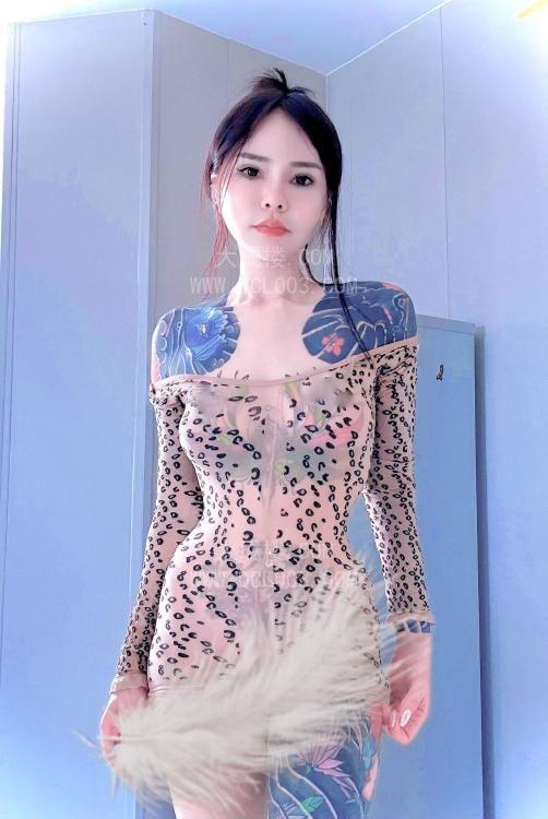 芜湖纹身花猫