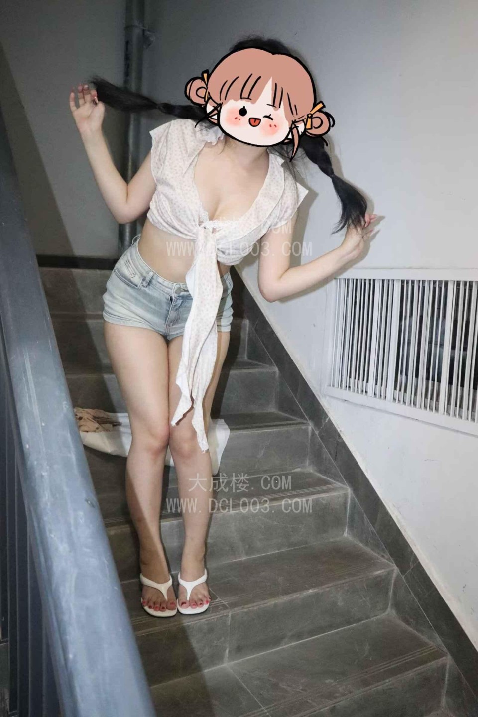 南山小白虎