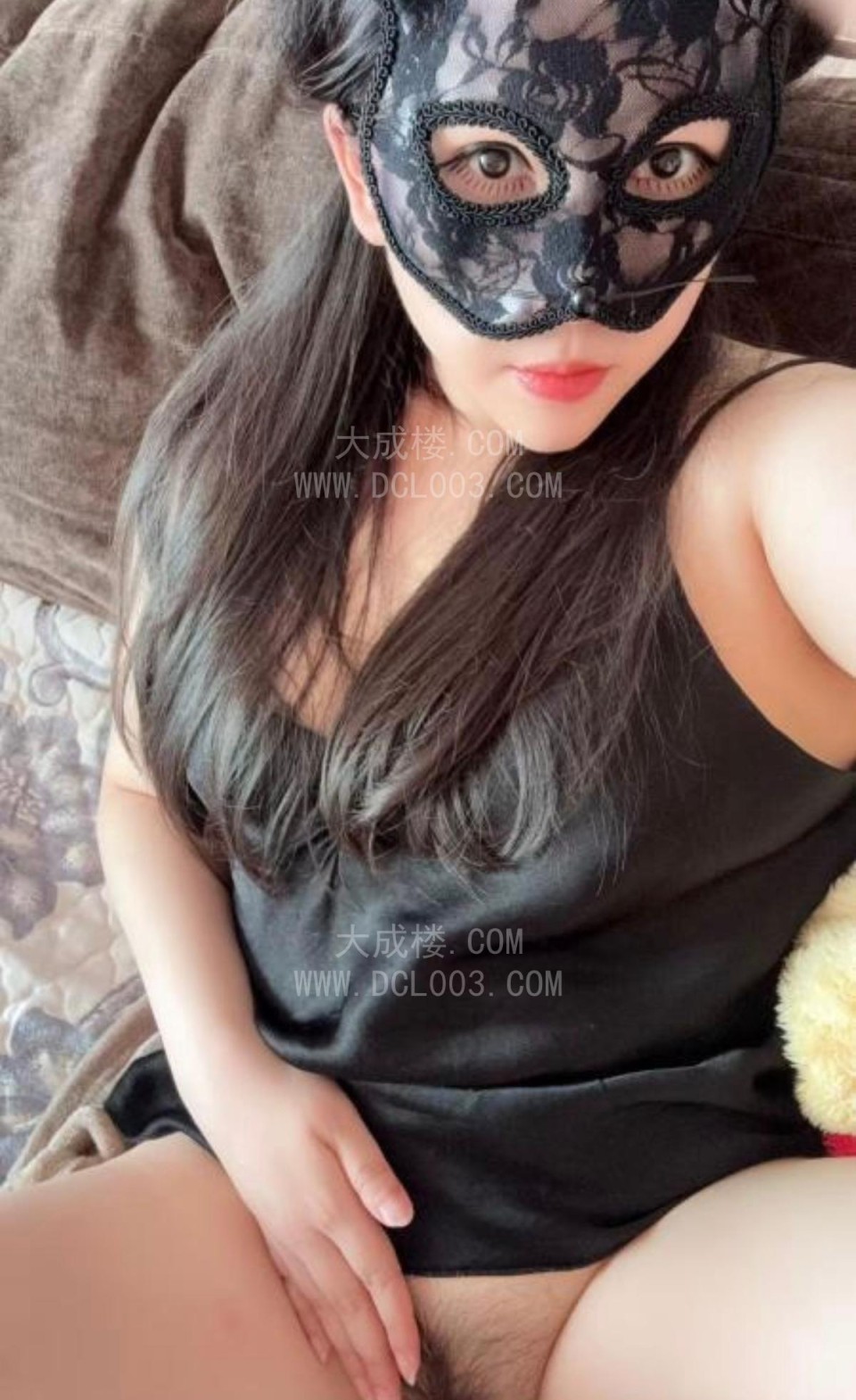 朝阳炮架子小猫咪