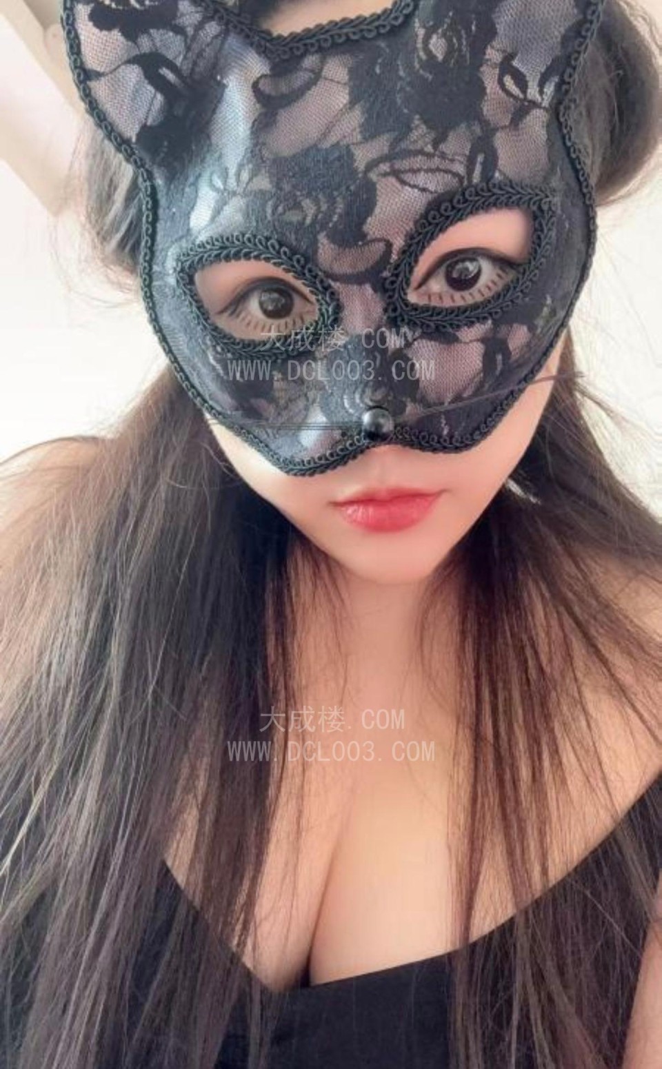 朝阳炮架子小猫咪