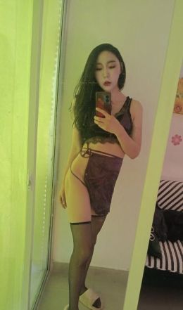 后入SM美人妖